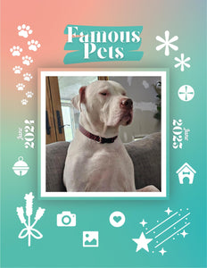 Famous Pets: June 2024-June 2025 Wall Calendar (Pre-Order)