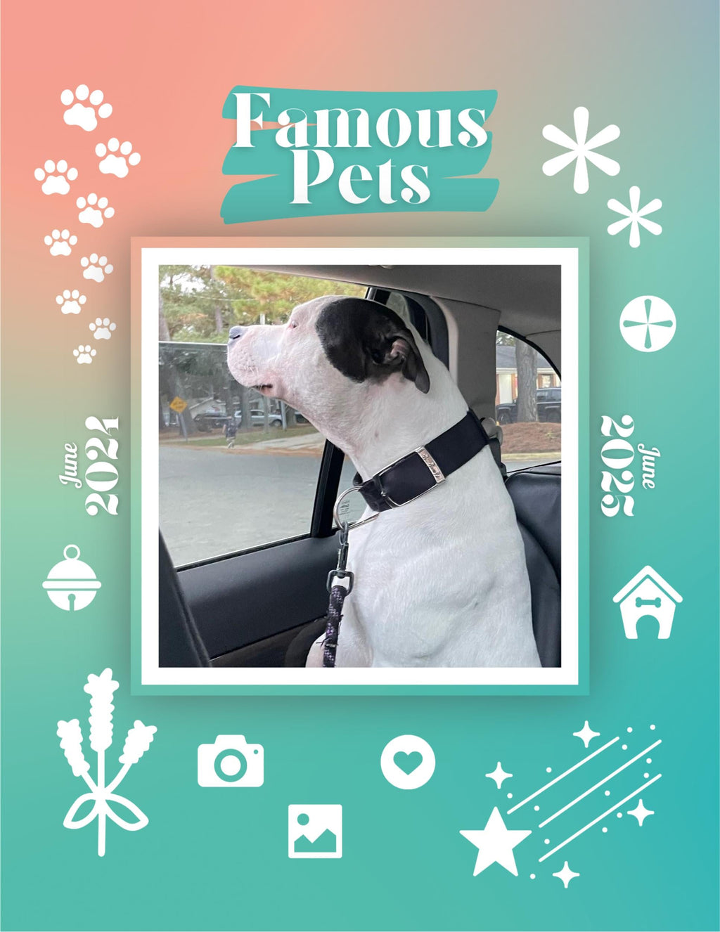 Famous Pets: June 2024-June 2025 Wall Calendar (Pre-Order)