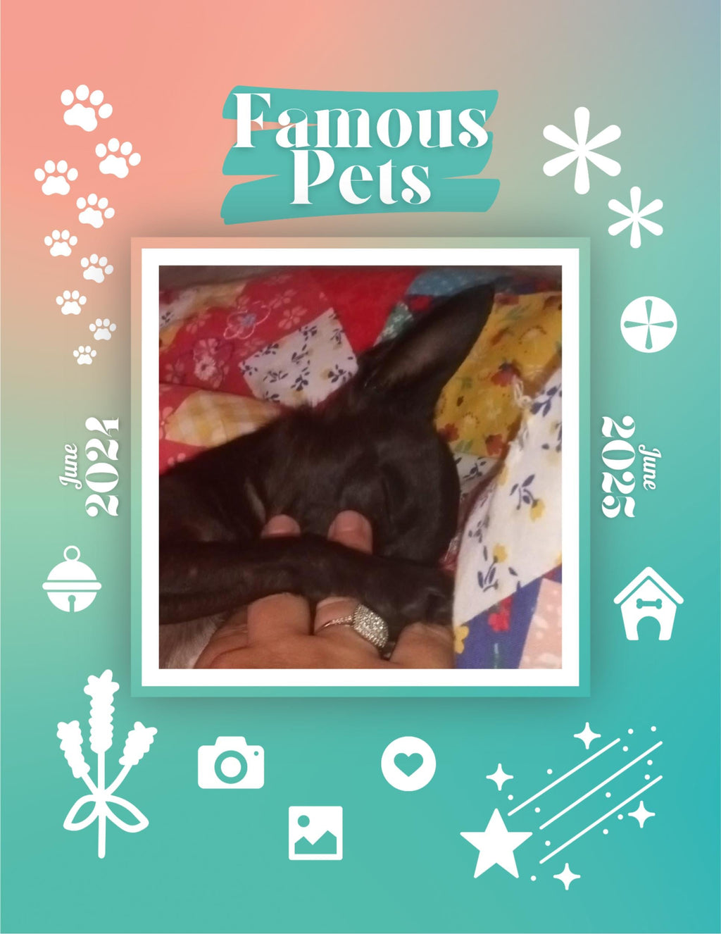 Famous Pets: June 2024-June 2025 Wall Calendar (Pre-Order)