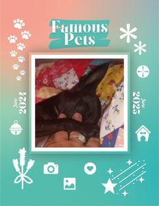 Famous Pets: June 2024-June 2025 Wall Calendar (Pre-Order)