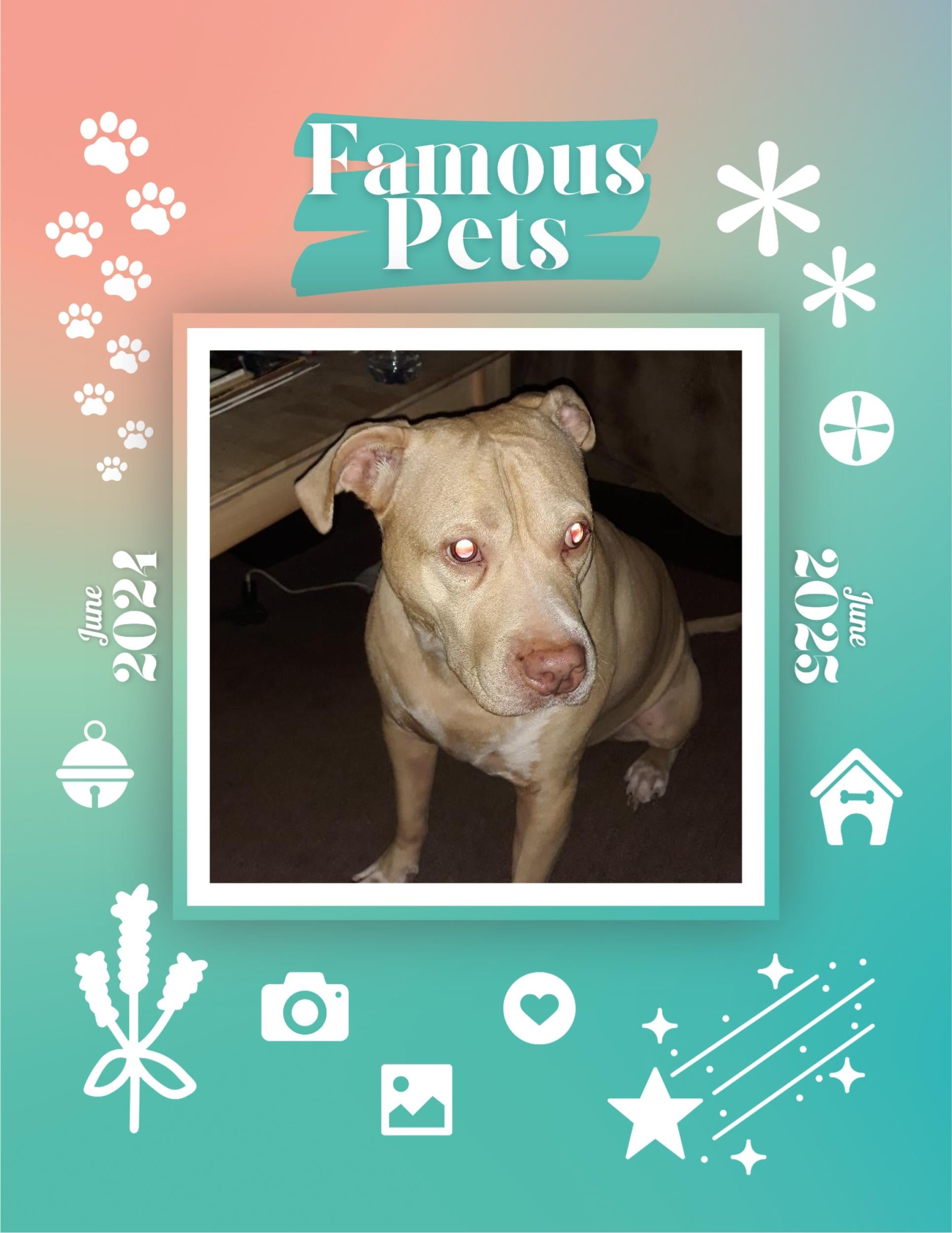 Famous Pets: June 2024-June 2025 Wall Calendar (Pre-Order)