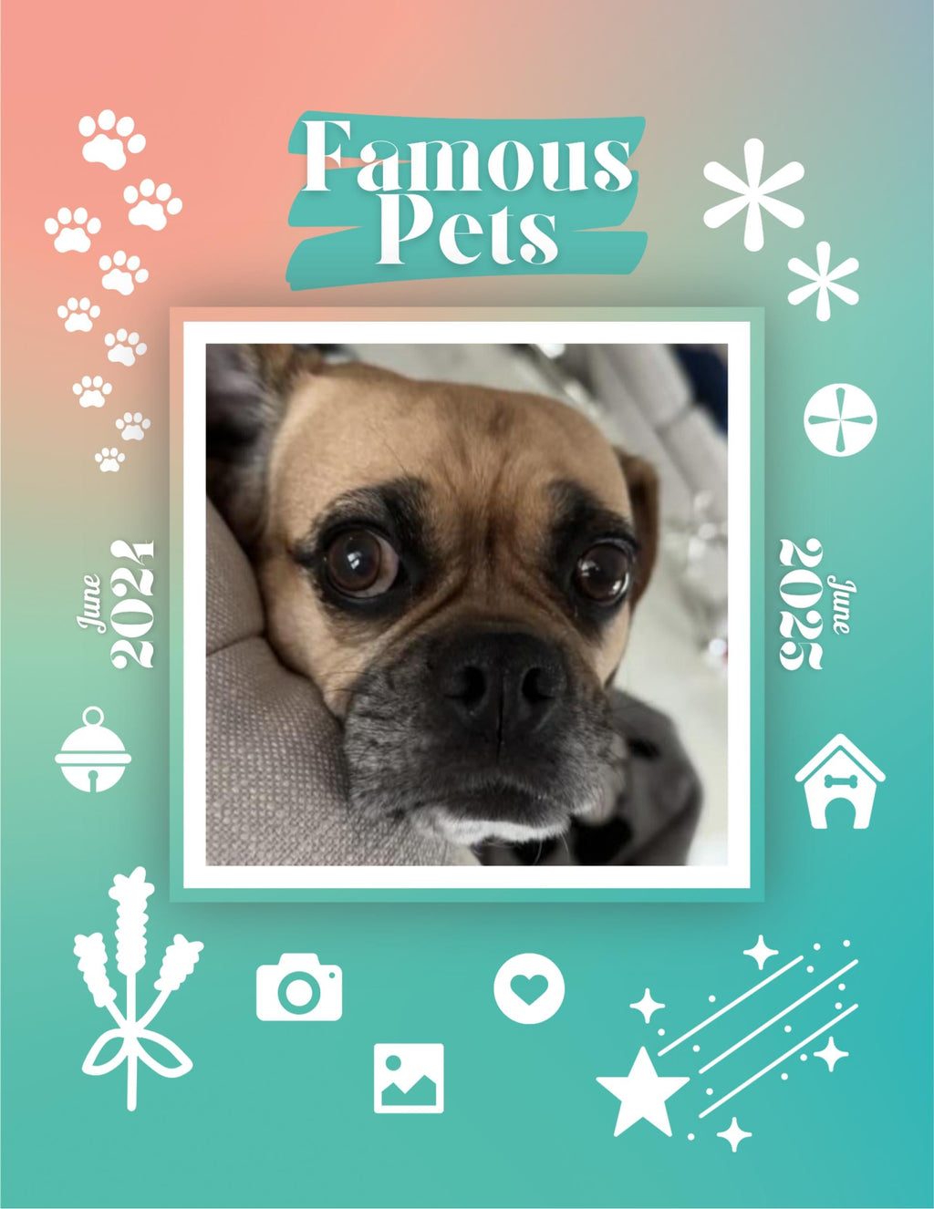 Famous Pets: June 2024-June 2025 Wall Calendar (Pre-Order)