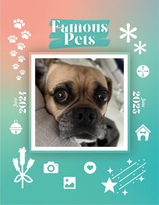 Famous Pets: June 2024-June 2025 Wall Calendar (Pre-Order)