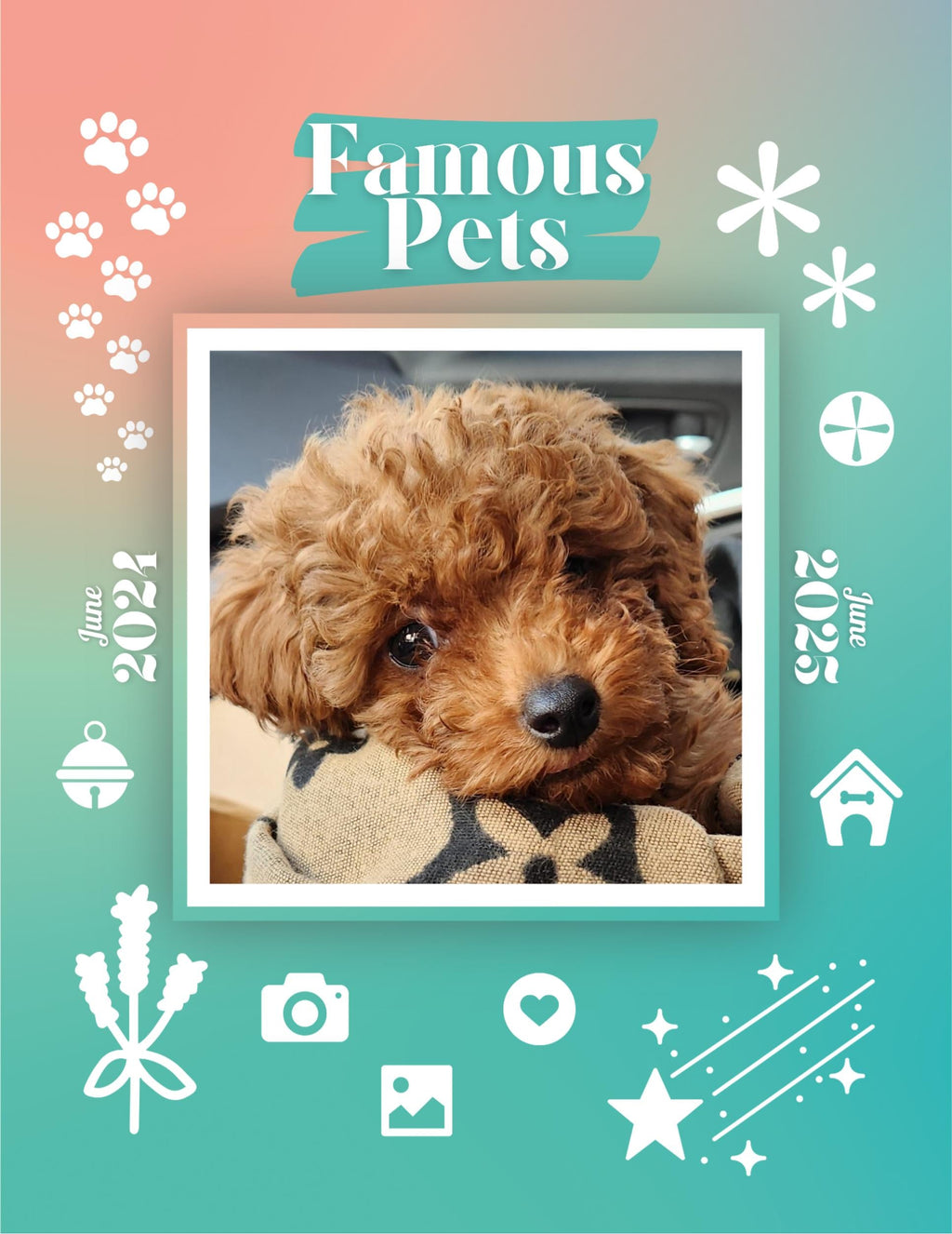 Famous Pets: June 2024-June 2025 Wall Calendar (Pre-Order)