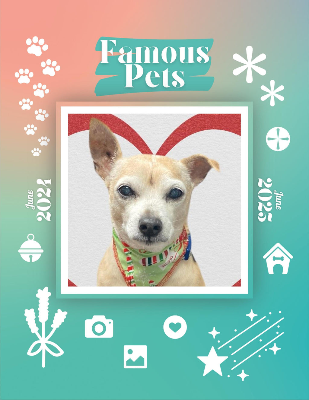 Famous Pets: June 2024-June 2025 Wall Calendar (Pre-Order)