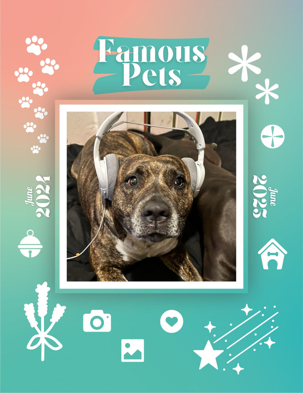 Famous Pets: June 2024-June 2025 Wall Calendar (Pre-Order)