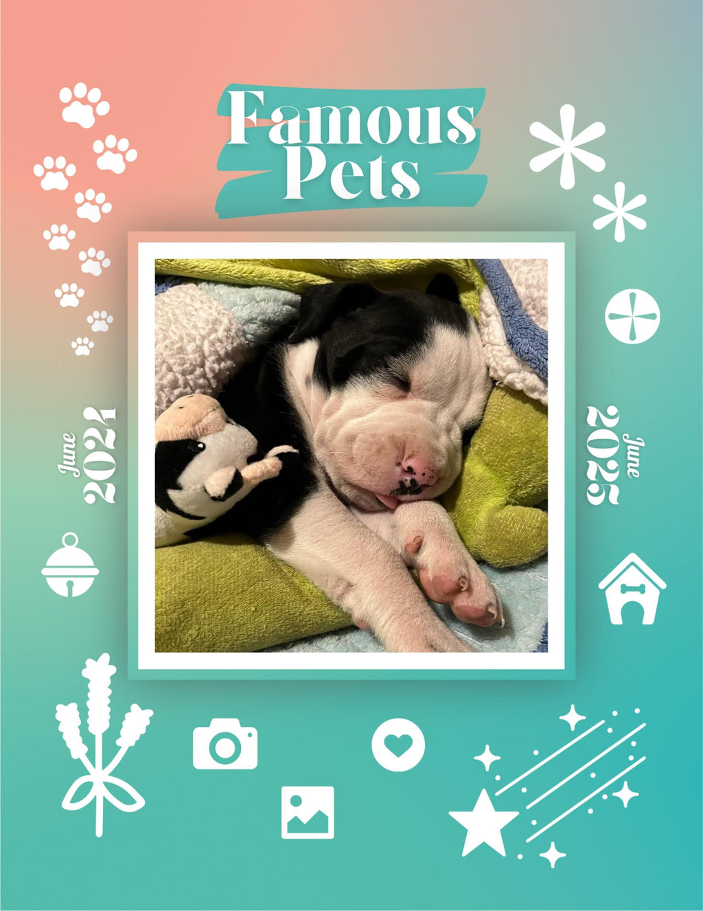 Famous Pets: June 2024-June 2025 Wall Calendar (Pre-Order)