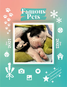 Famous Pets: June 2024-June 2025 Wall Calendar (Pre-Order)