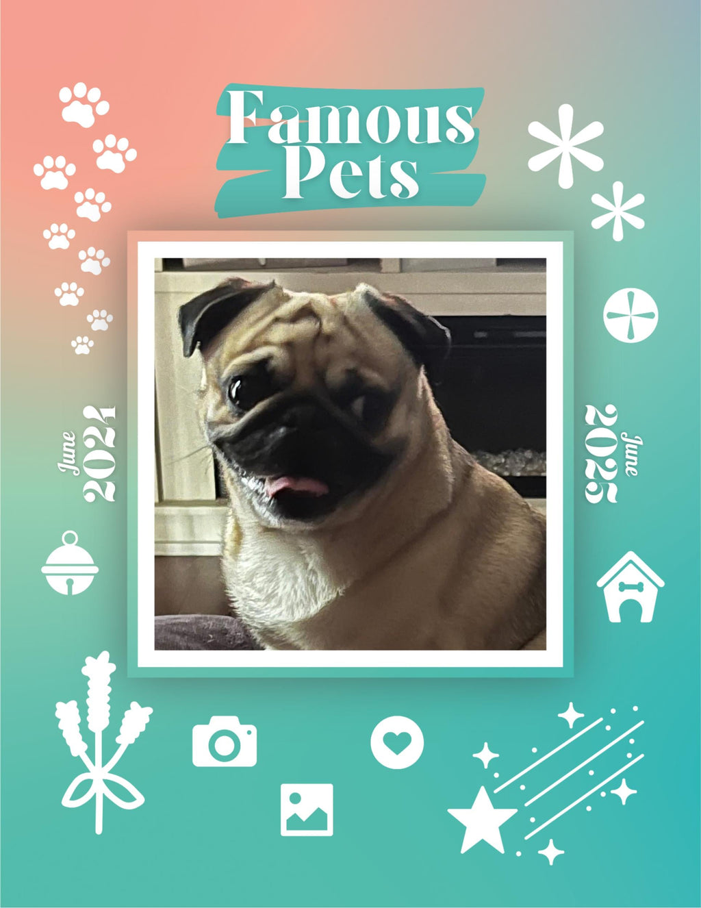Famous Pets: June 2024-June 2025 Wall Calendar (Pre-Order)
