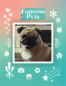 Famous Pets: June 2024-June 2025 Wall Calendar (Pre-Order)