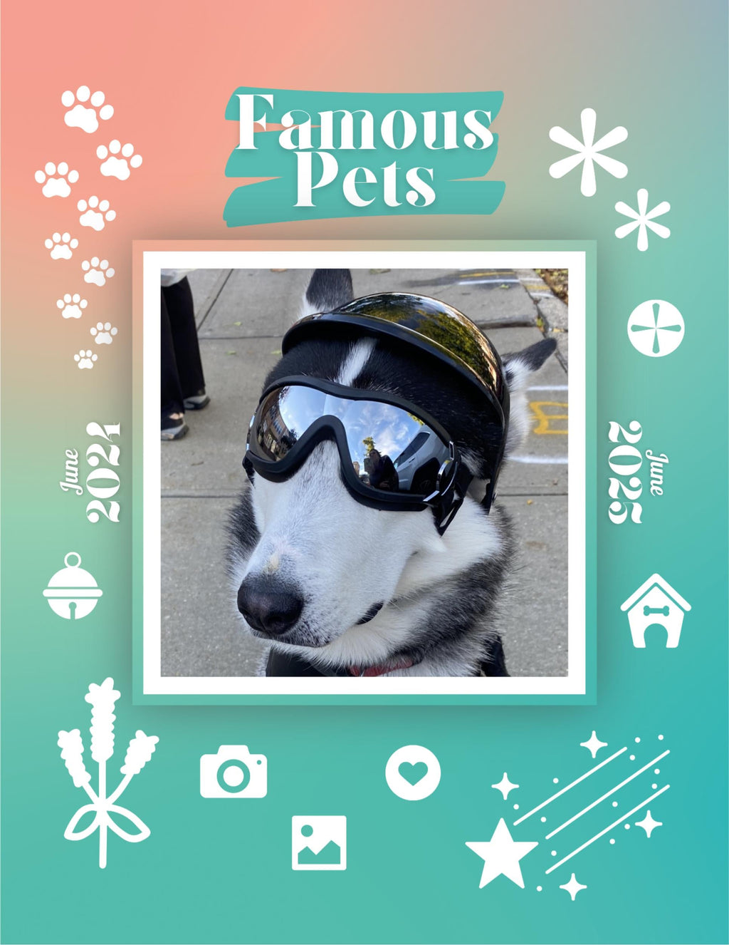 Famous Pets: June 2024-June 2025 Wall Calendar (Pre-Order)