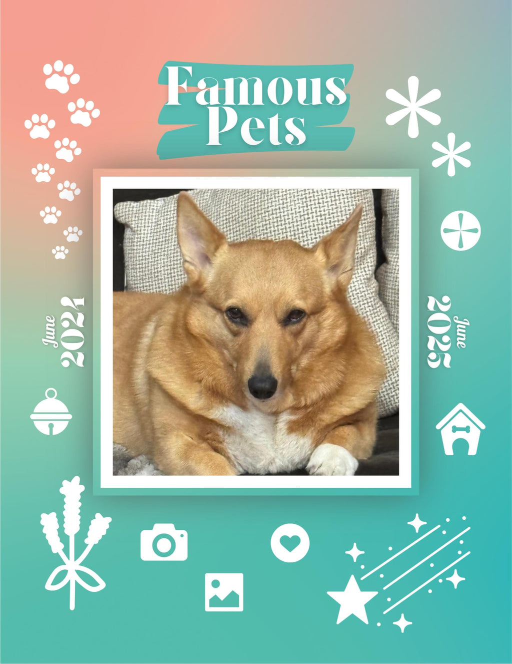Famous Pets: June 2024-June 2025 Wall Calendar (Pre-Order)