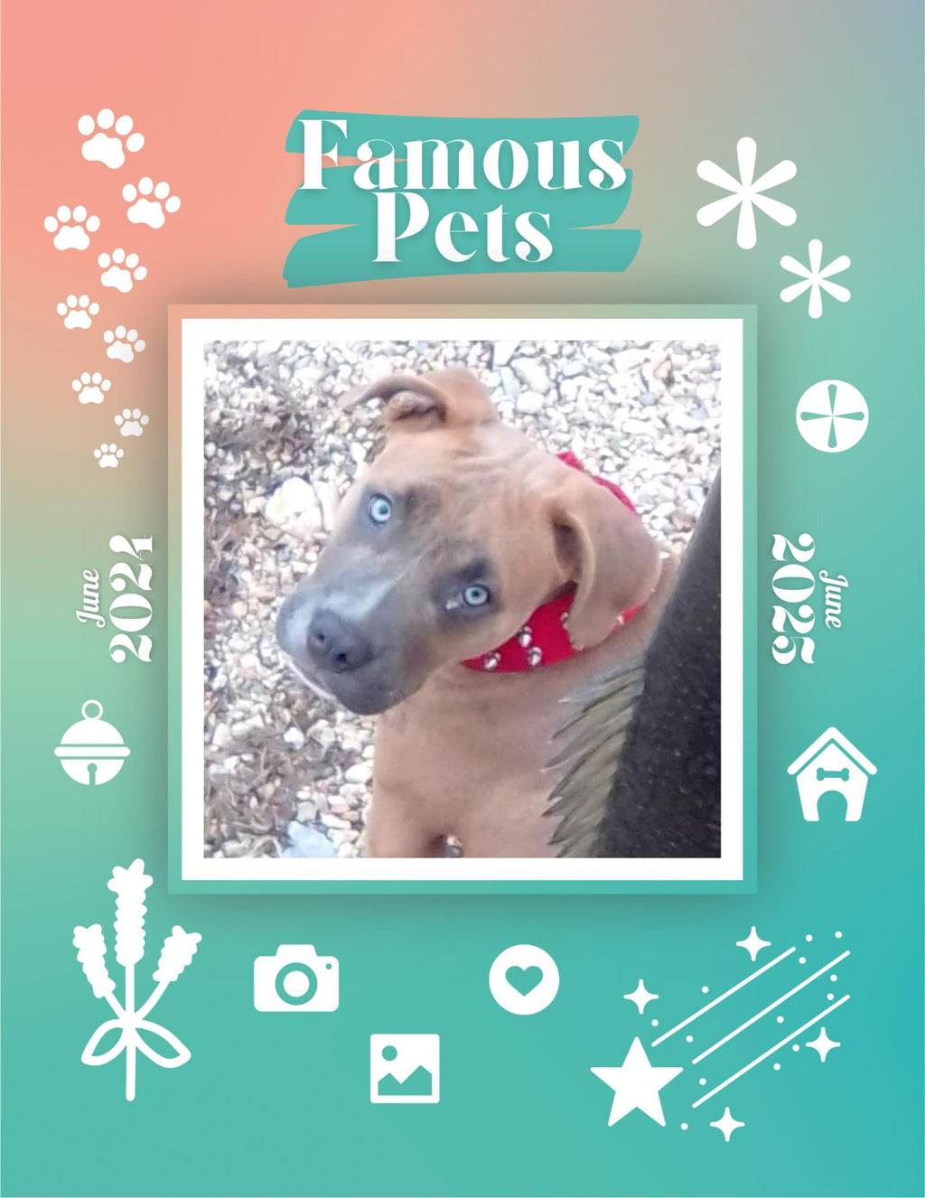 Famous Pets: June 2024-June 2025 Wall Calendar (Pre-Order)