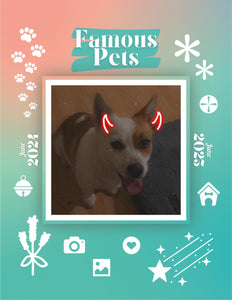 Famous Pets: June 2024-June 2025 Wall Calendar (Pre-Order)
