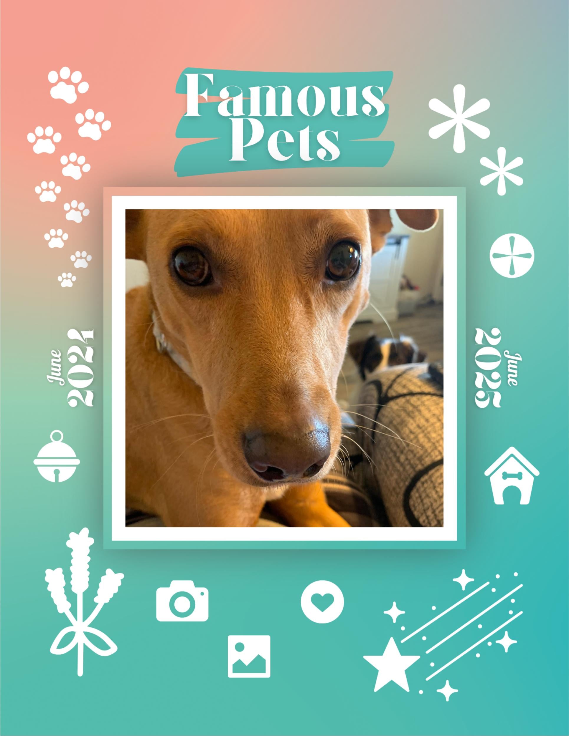 Famous Pets: June 2024-June 2025 Wall Calendar (Pre-Order)