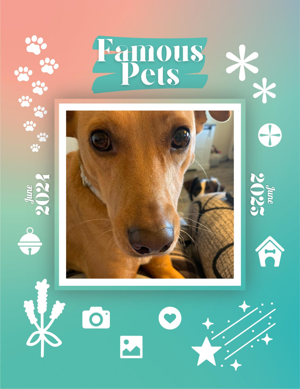 Famous Pets: June 2024-June 2025 Wall Calendar (Pre-Order)