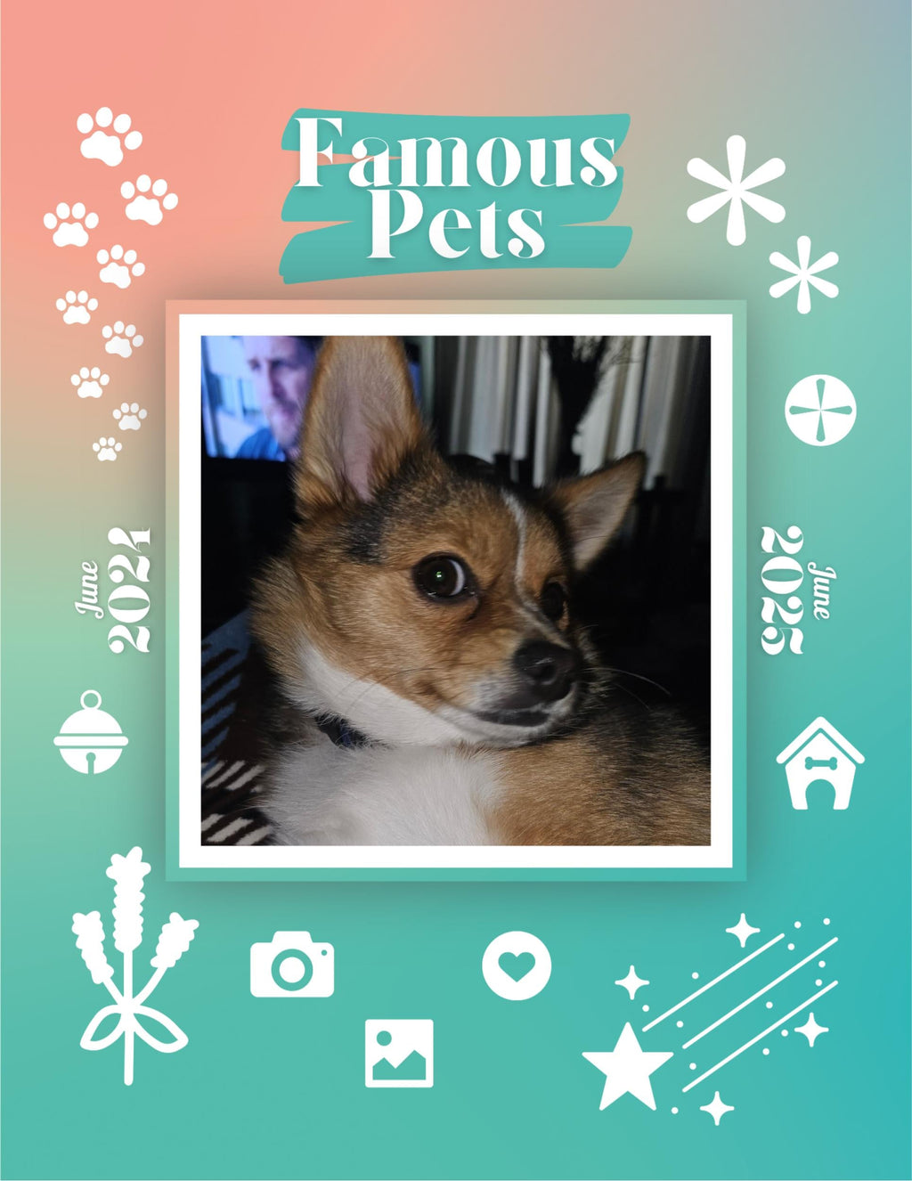 Famous Pets: June 2024-June 2025 Wall Calendar (Pre-Order)