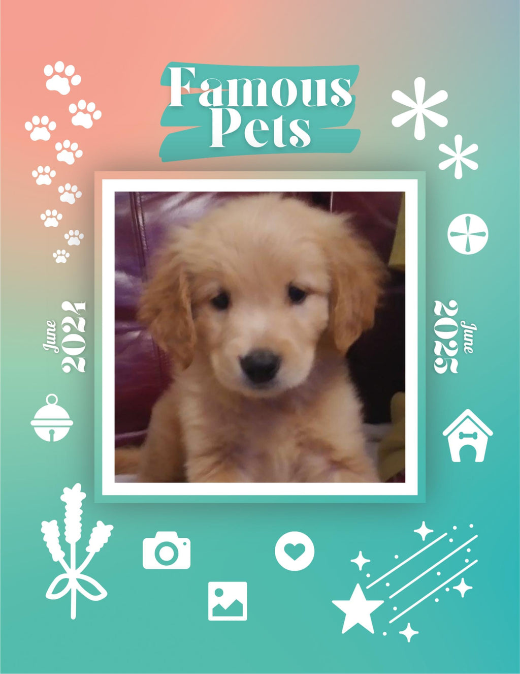 Famous Pets: June 2024-June 2025 Wall Calendar (Pre-Order)