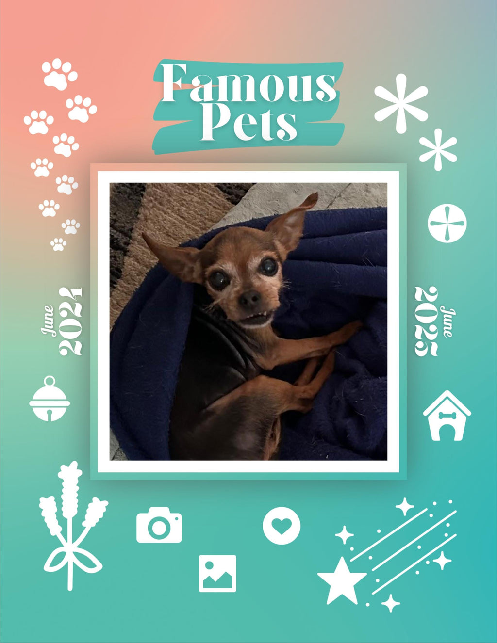 Famous Pets: June 2024-June 2025 Wall Calendar (Pre-Order)