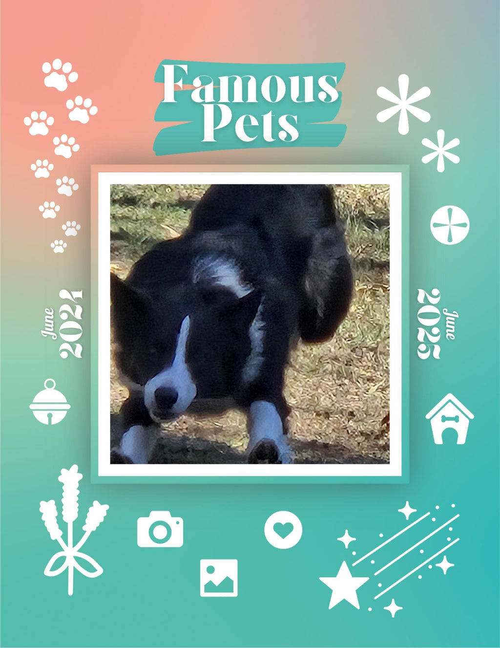 Famous Pets: June 2024-June 2025 Wall Calendar (Pre-Order)