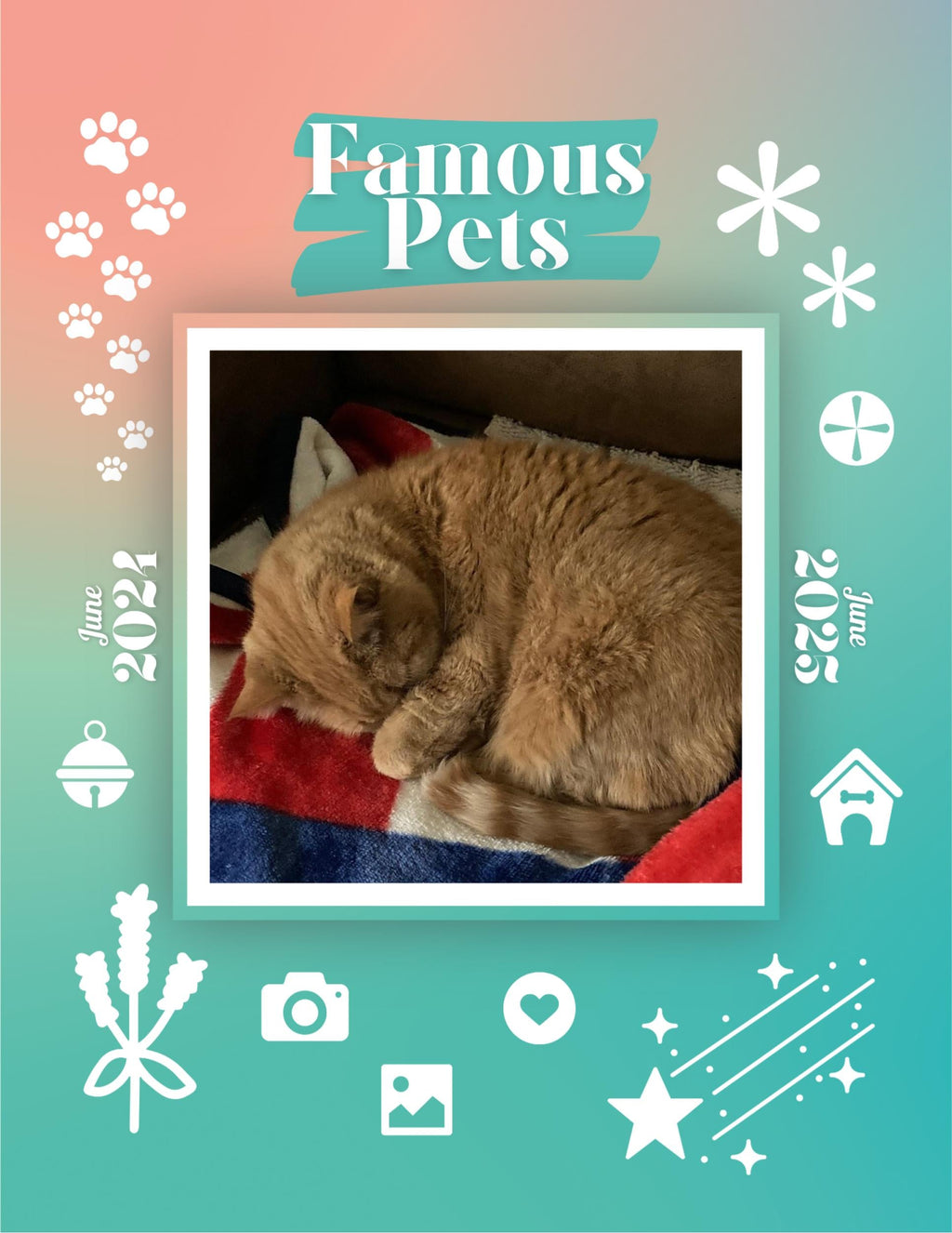 Famous Pets: June 2024-June 2025 Wall Calendar (Pre-Order)