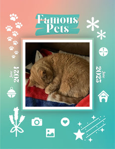 Famous Pets: June 2024-June 2025 Wall Calendar (Pre-Order)