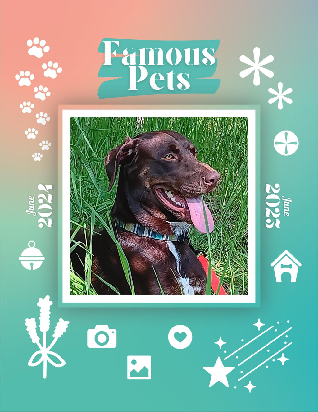 Famous Pets: June 2024-June 2025 Wall Calendar (Pre-Order)