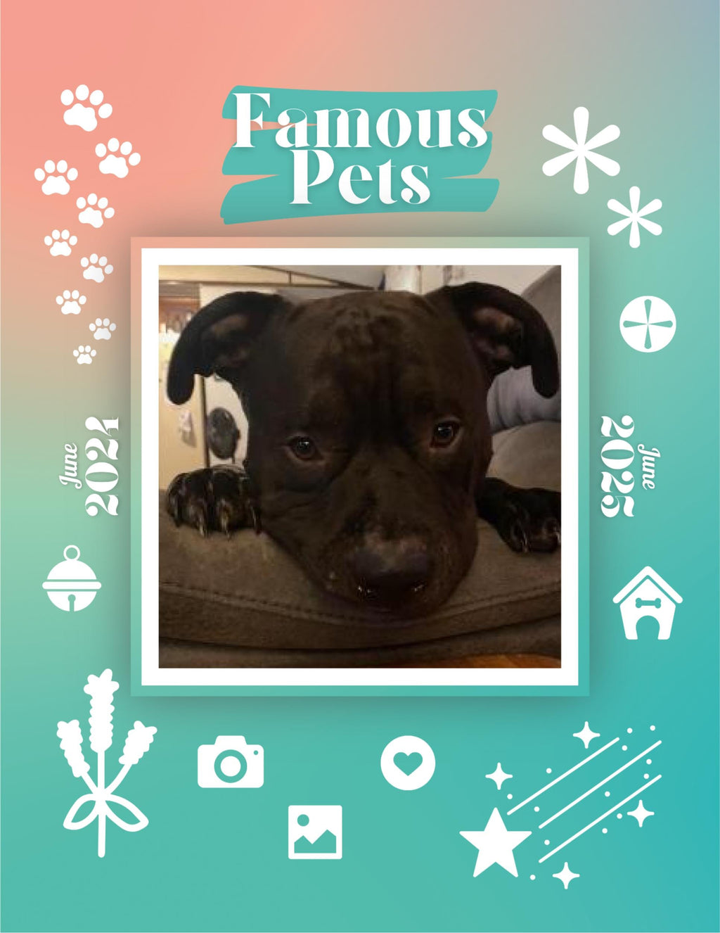 Famous Pets: June 2024-June 2025 Wall Calendar (Pre-Order)