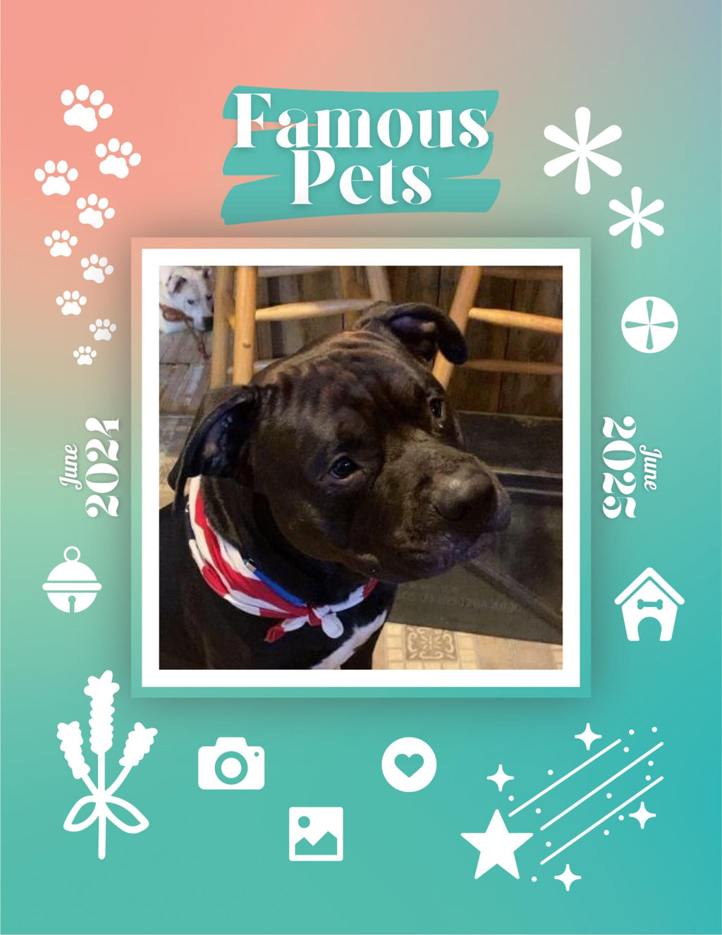 Famous Pets: June 2024-June 2025 Wall Calendar (Pre-Order)