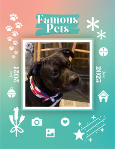 Famous Pets: June 2024-June 2025 Wall Calendar (Pre-Order)