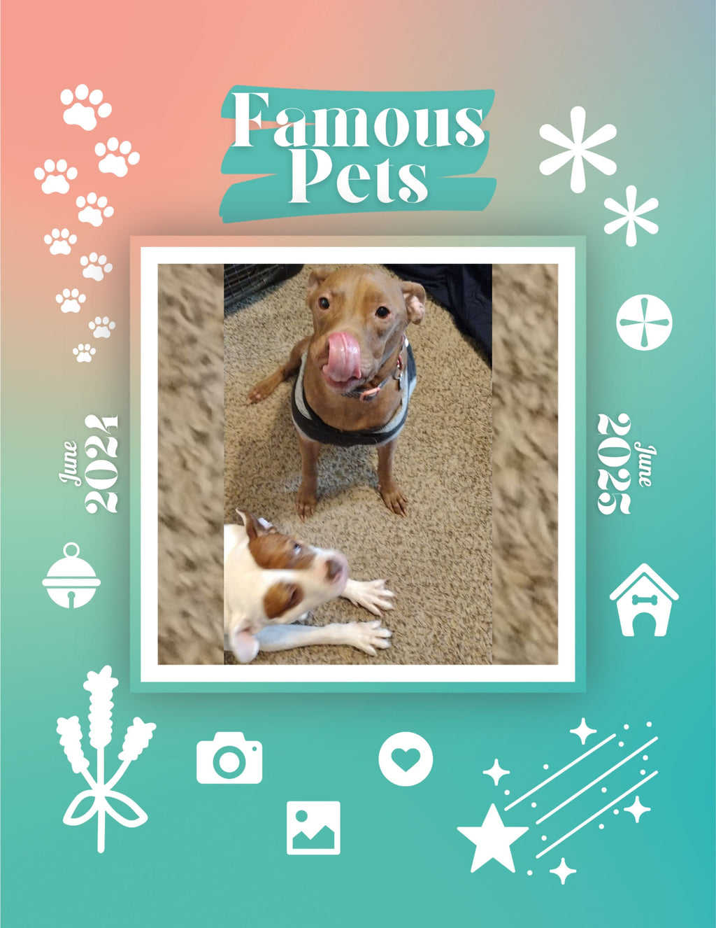 Famous Pets: June 2024-June 2025 Wall Calendar (Pre-Order)