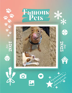 Famous Pets: June 2024-June 2025 Wall Calendar (Pre-Order)