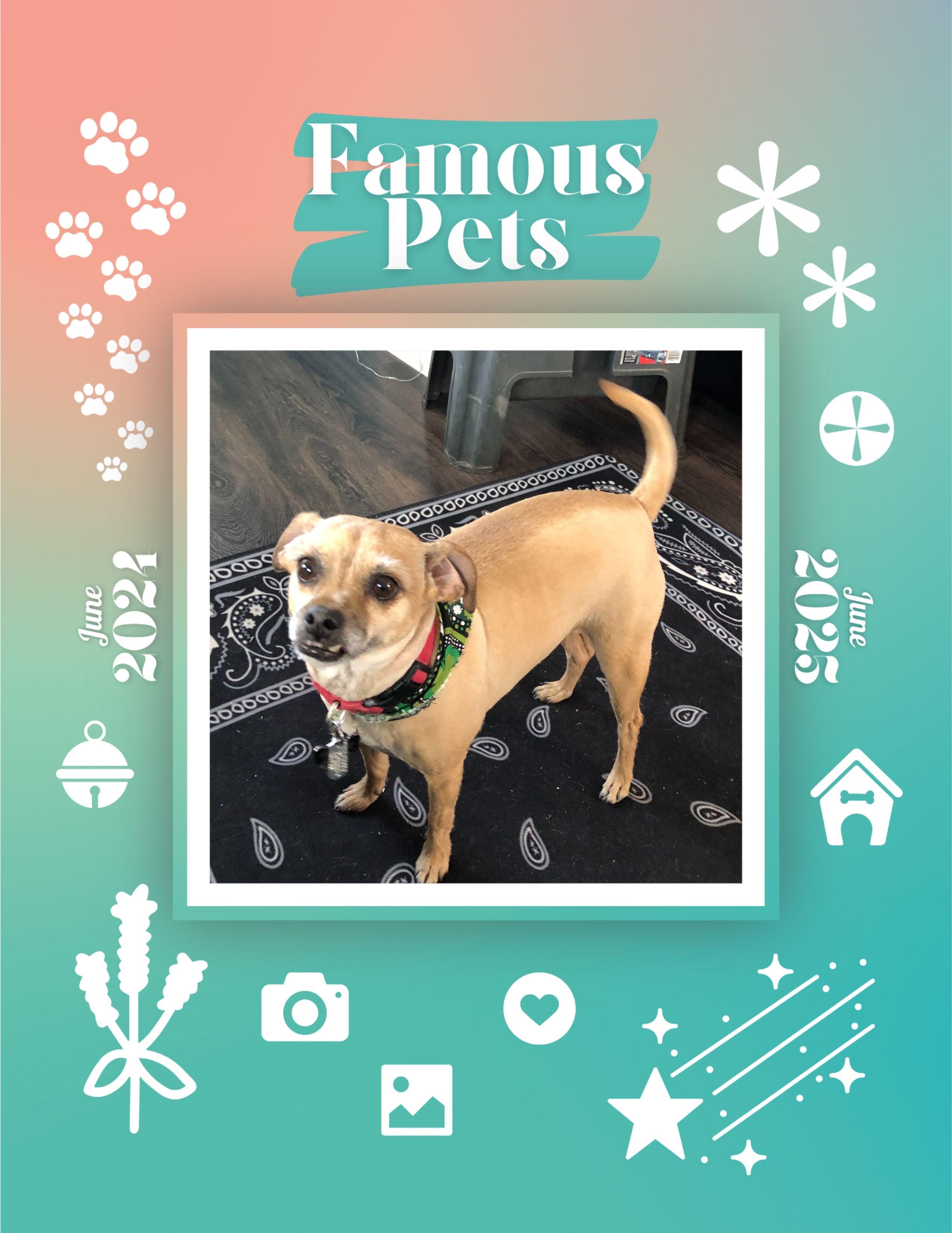 Famous Pets: June 2024-June 2025 Wall Calendar (Pre-Order)