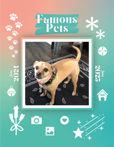 Famous Pets: June 2024-June 2025 Wall Calendar (Pre-Order)