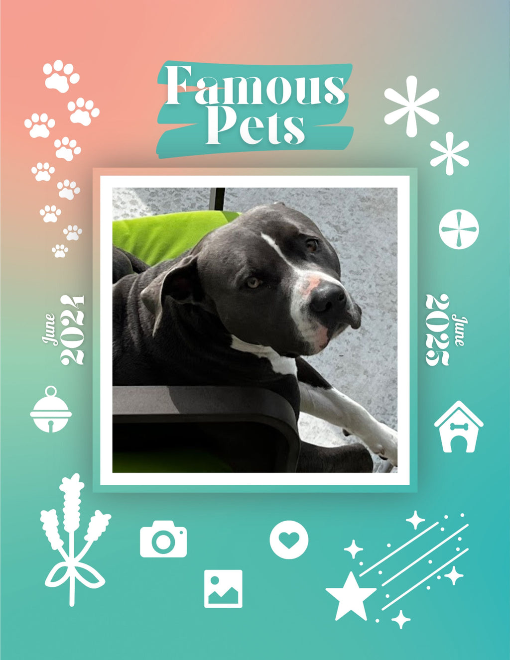 Famous Pets: June 2024-June 2025 Wall Calendar (Pre-Order)