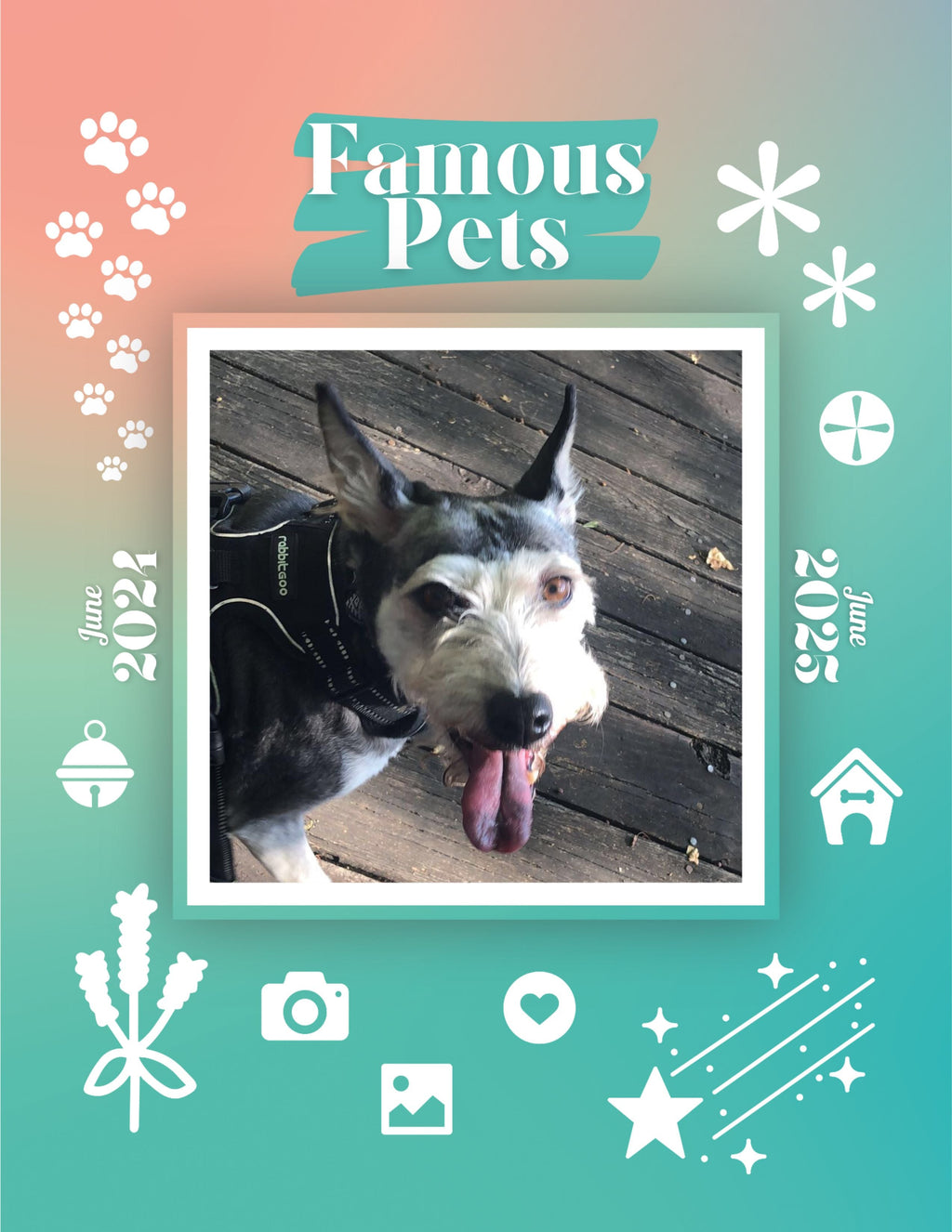 Famous Pets: June 2024-June 2025 Wall Calendar (Pre-Order)