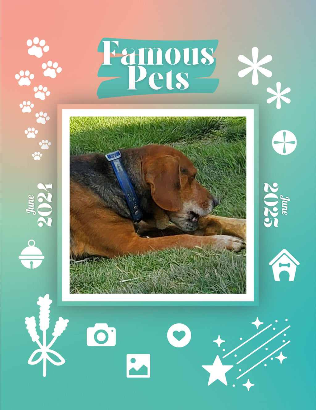 Famous Pets: June 2024-June 2025 Wall Calendar (Pre-Order)