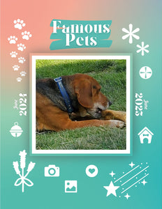 Famous Pets: June 2024-June 2025 Wall Calendar (Pre-Order)