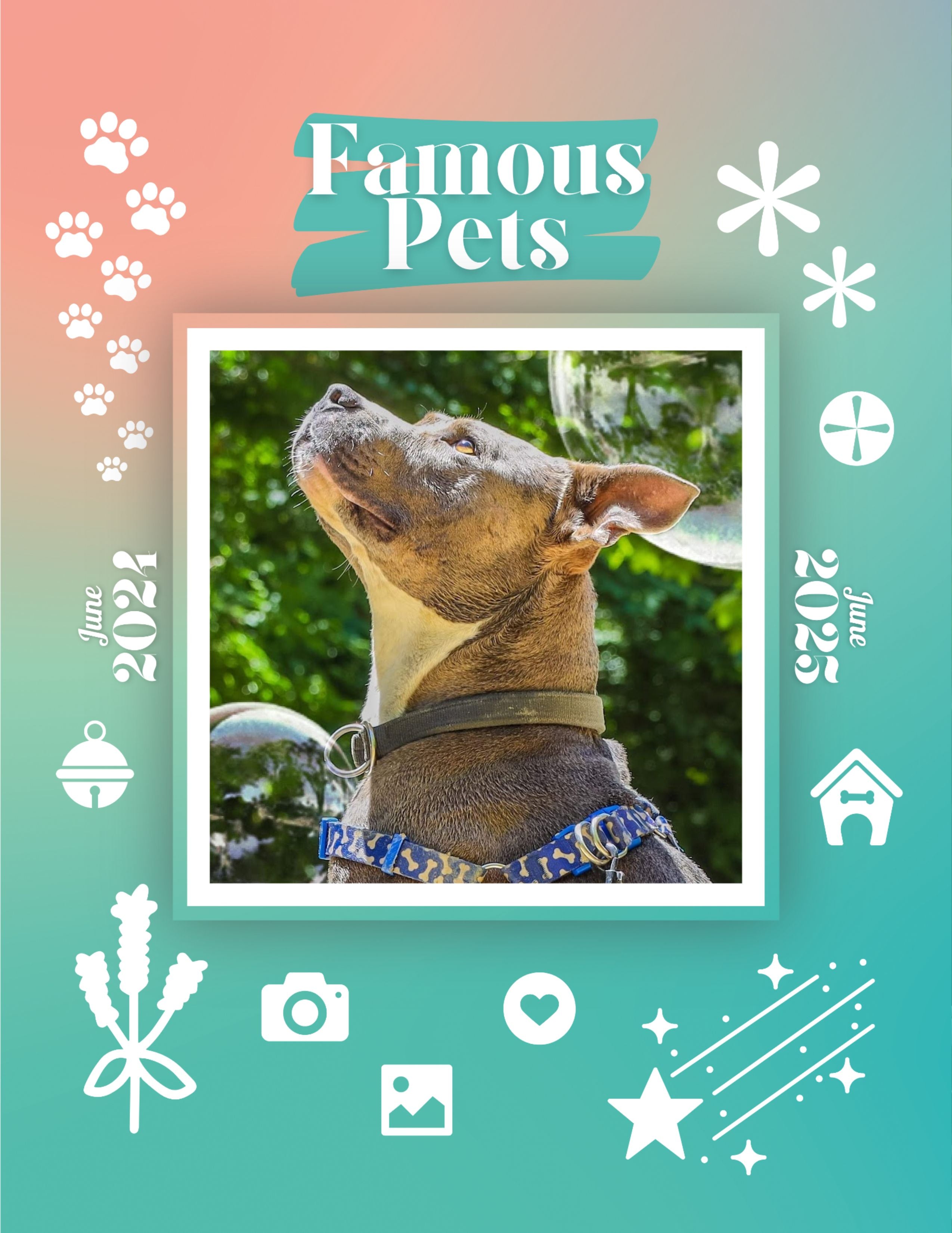Famous Pets: June 2024-June 2025 Wall Calendar (Pre-Order)