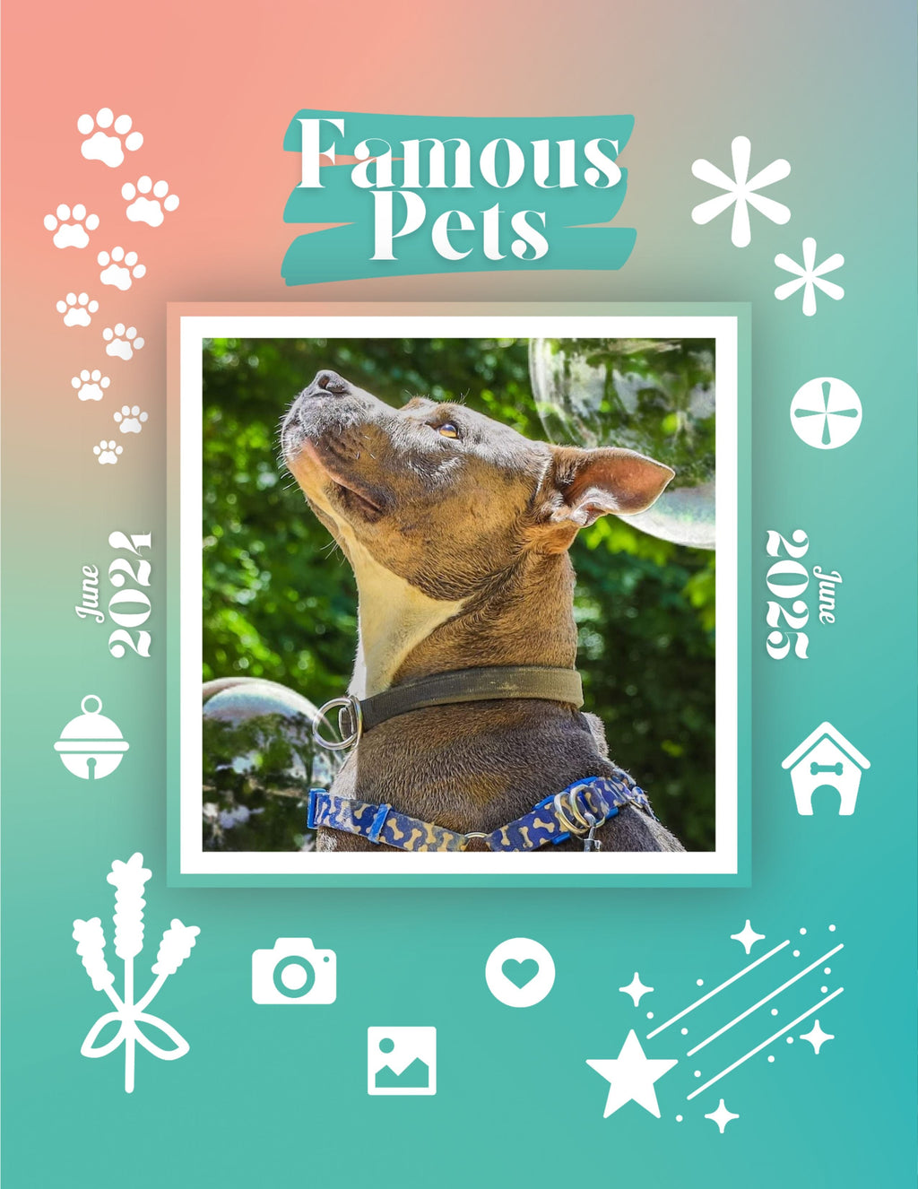 Famous Pets: June 2024-June 2025 Wall Calendar (Pre-Order)