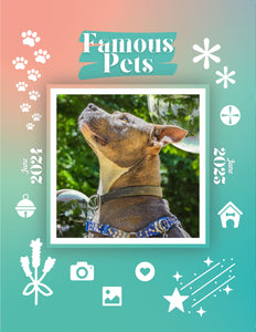 Famous Pets: June 2024-June 2025 Wall Calendar (Pre-Order)