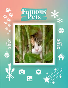 Famous Pets: June 2024-June 2025 Wall Calendar (Pre-Order)