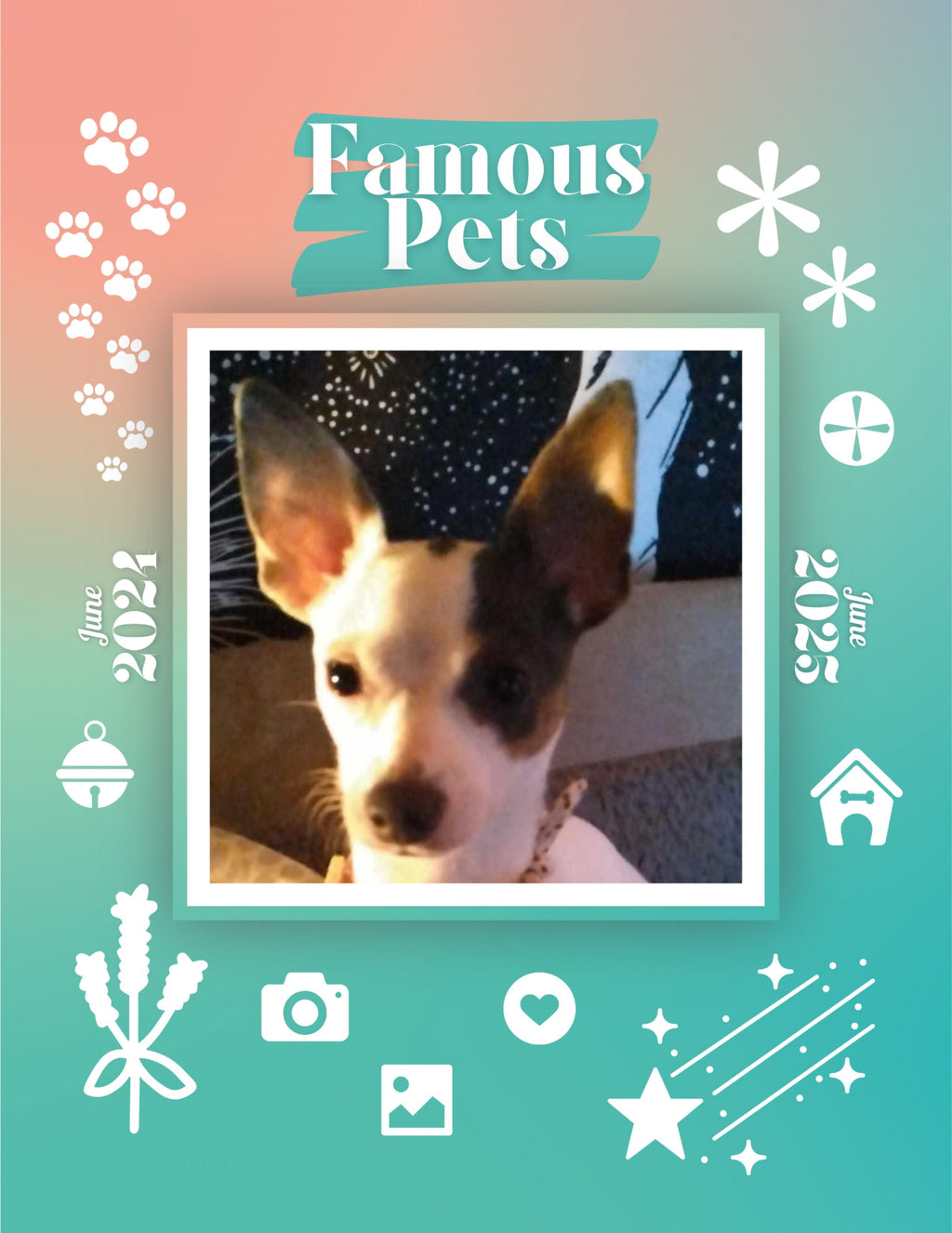 Famous Pets: June 2024-June 2025 Wall Calendar (Pre-Order)