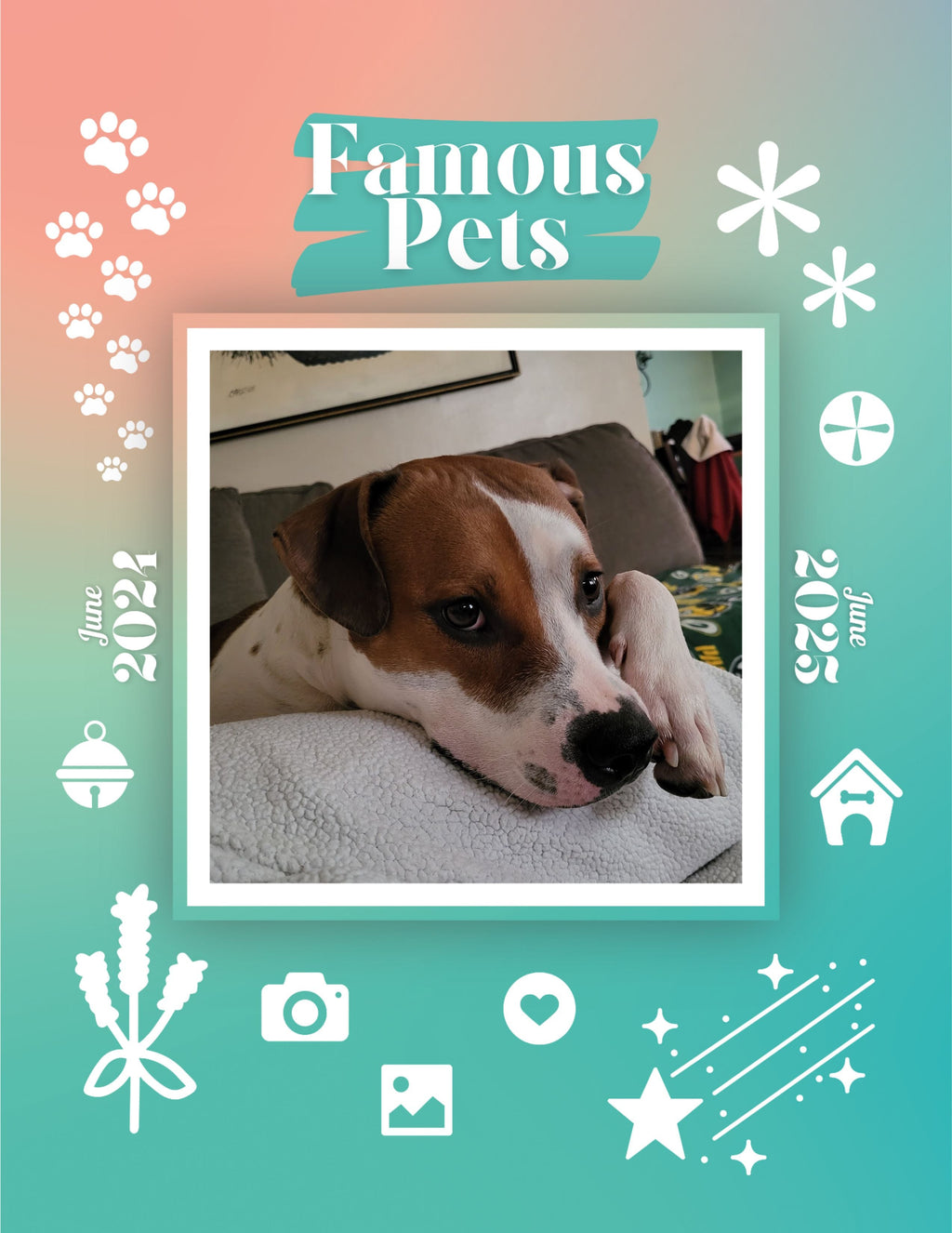 Famous Pets: June 2024-June 2025 Wall Calendar (Pre-Order)