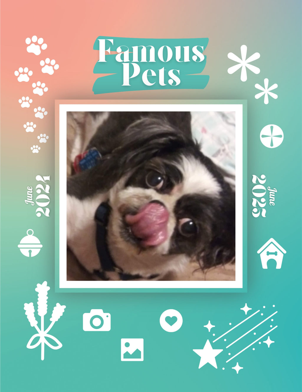 Famous Pets: June 2024-June 2025 Wall Calendar (Pre-Order)