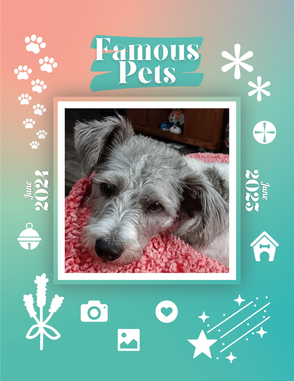 Famous Pets: June 2024-June 2025 Wall Calendar (Pre-Order)