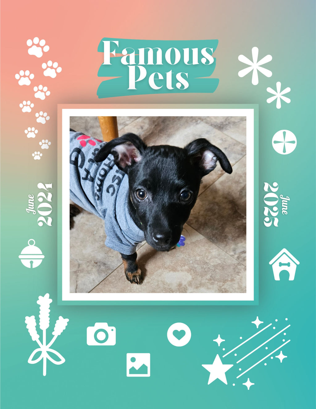 Famous Pets: June 2024-June 2025 Wall Calendar (Pre-Order)