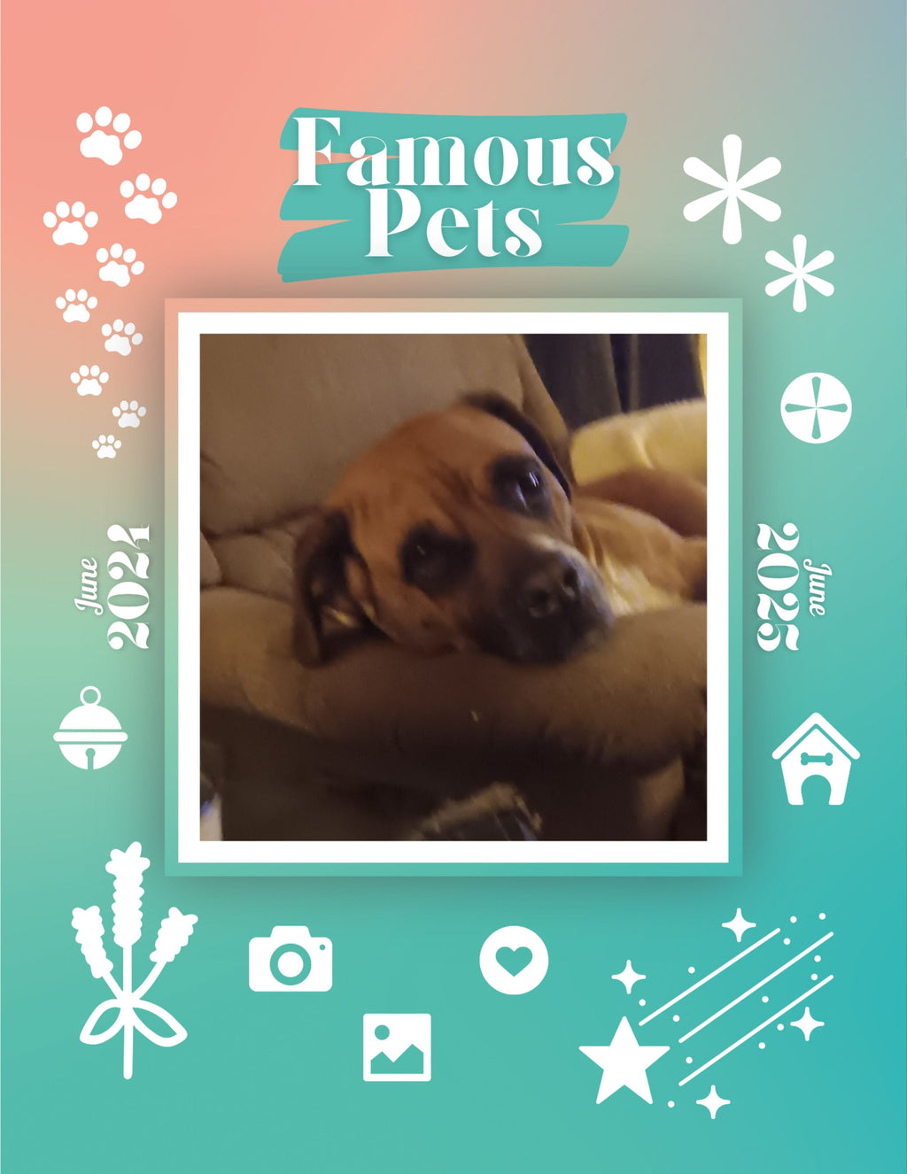 Famous Pets: June 2024-June 2025 Wall Calendar (Pre-Order)