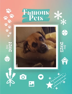 Famous Pets: June 2024-June 2025 Wall Calendar (Pre-Order)
