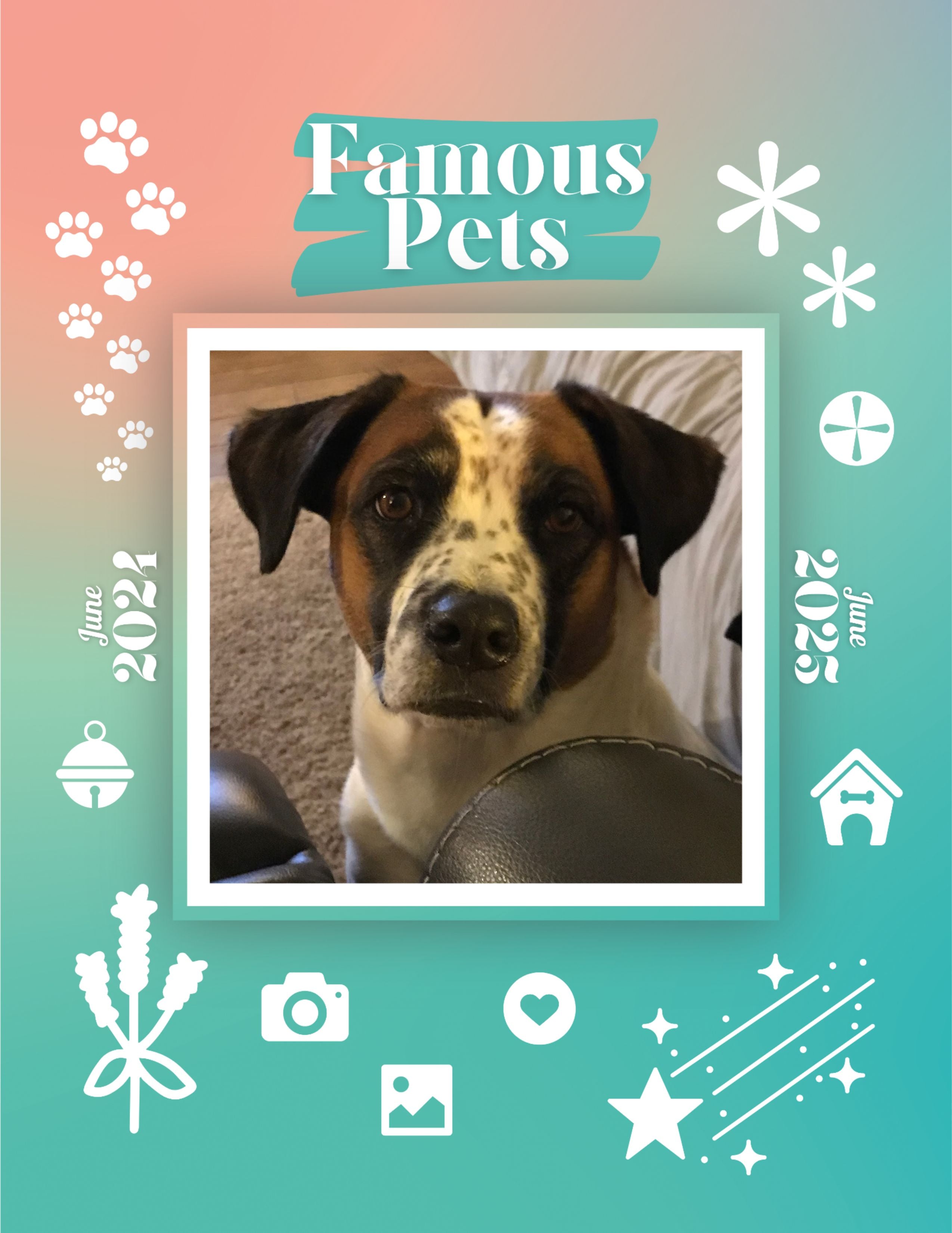 Famous Pets: June 2024-June 2025 Wall Calendar (Pre-Order)
